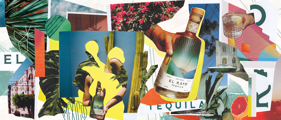 Tequila Made Art, 2026